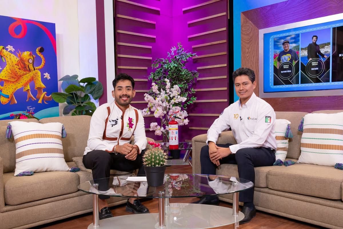 Servicio de fumigación